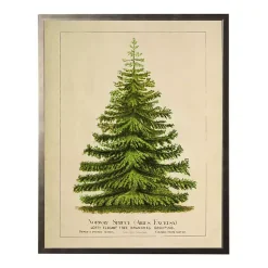 Sale Vintage Spruce Tree Framed Art Print Christmas Art & Wall Decor