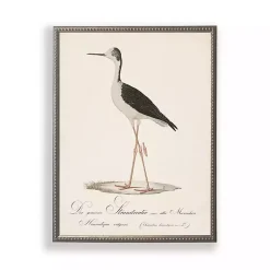 Kirklands Home Framed Art|Vintage Waterbird Facing Left Framed Art Print