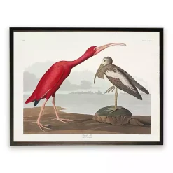Kirklands Home Framed Art|Vintage Waterbird Pair Bookplate Framed Art Print
