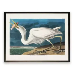 Kirklands Home Framed Art|Vintage White Pelican With Fish Framed Art Print