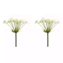 Best Queen Anne's Lace Stems, Set of 2 Stems & Bouquets