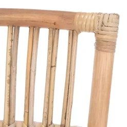 Kirklands Home Dining Chairs|Rattan Erika Dining Chairs, Set of 2 White