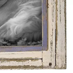 Clearance White Rustic Wooden Photo Frame, 8x10 Picture Frames