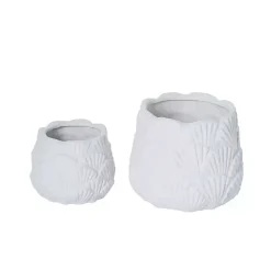 Clearance Shell Vases, Set of 2 Vases